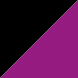 Black/Fuchsia